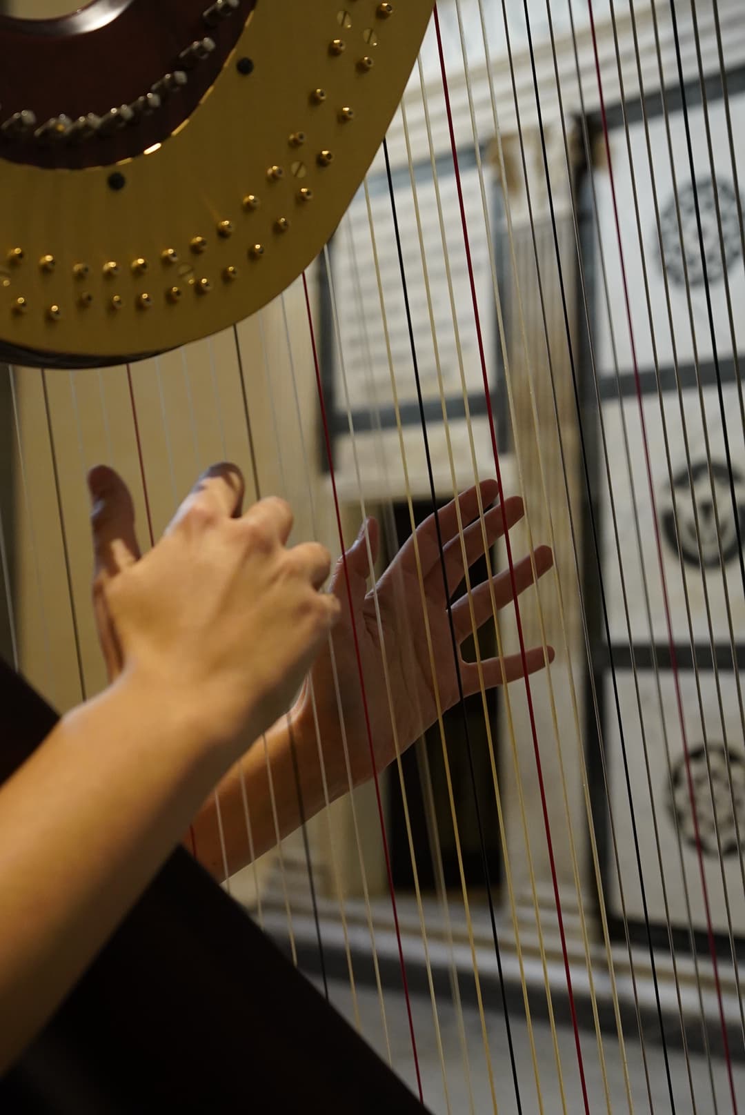 Large Scale Guest/VIC Experiences