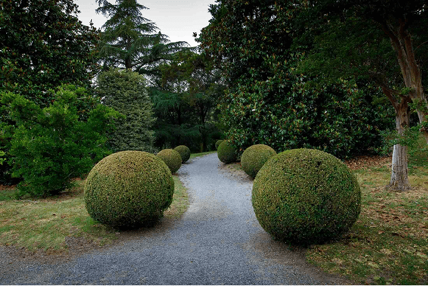 Cartier — Precious Journey